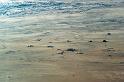 20090603_085032 D3 X1